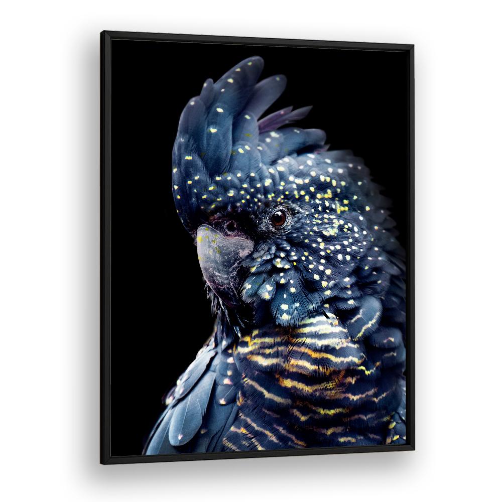 YELLOW SPOTTED COCKATOO