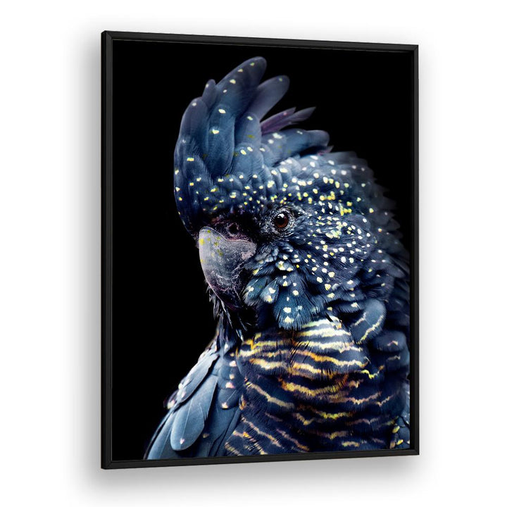 YELLOW SPOTTED COCKATOO