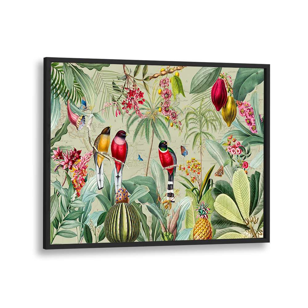 TROPICAL JUNGLE BIRDS