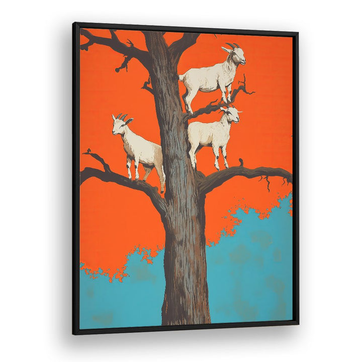 GOATS ON A ORANGE TREE