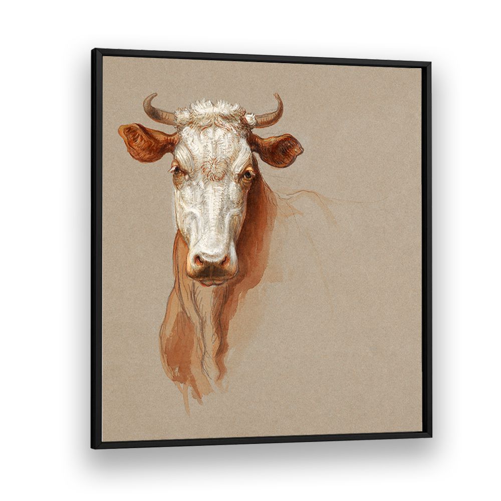 TWO STUDIES OF CATTLE (1876)