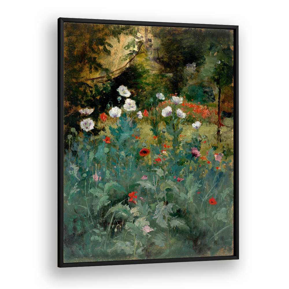POPPIES