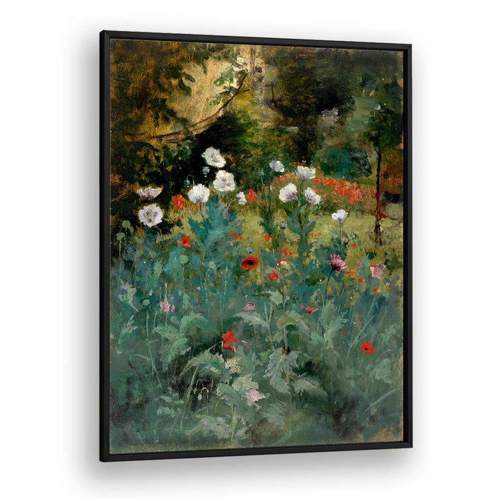 POPPIES