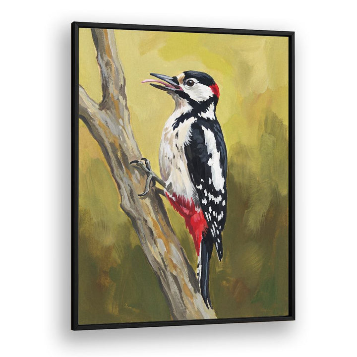 VIBRANT WOODPECKER PERCHED