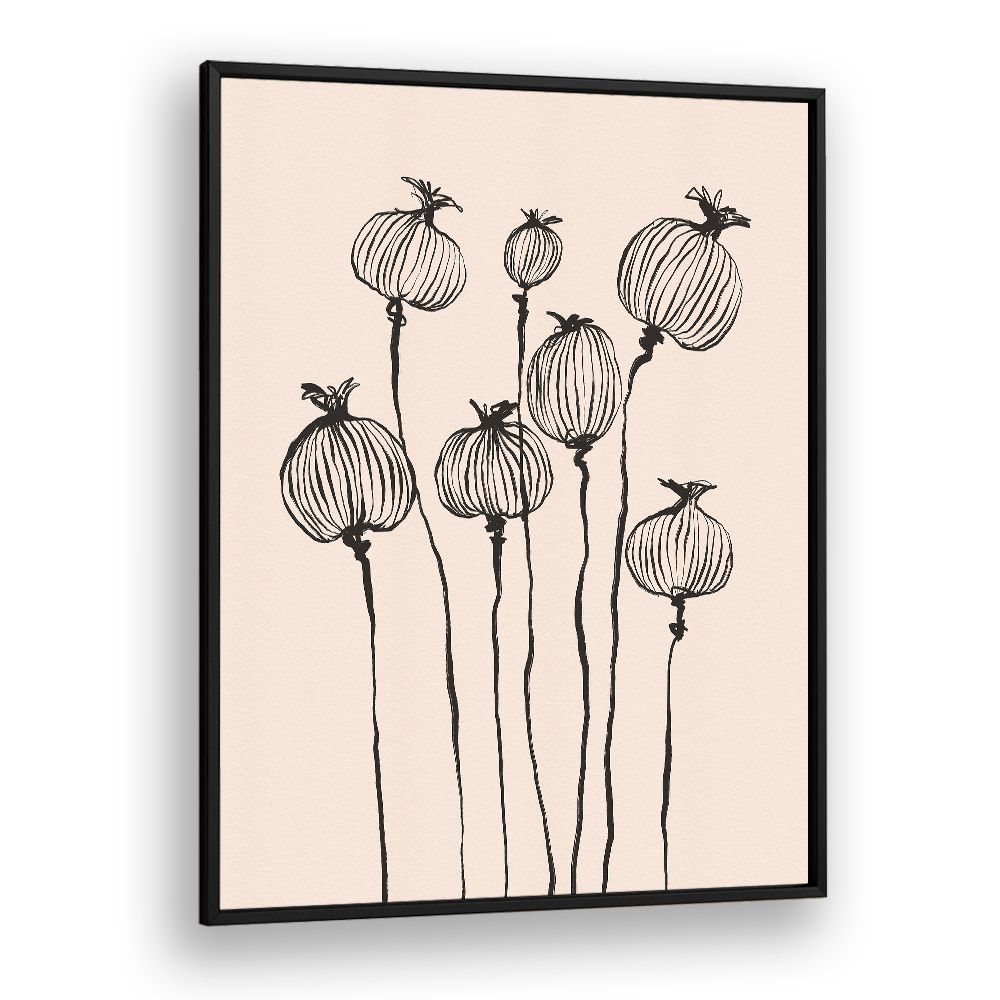 GRACEFUL POPPY PODS