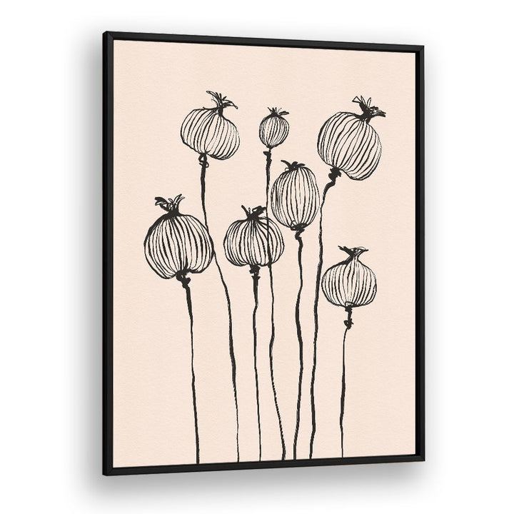 GRACEFUL POPPY PODS