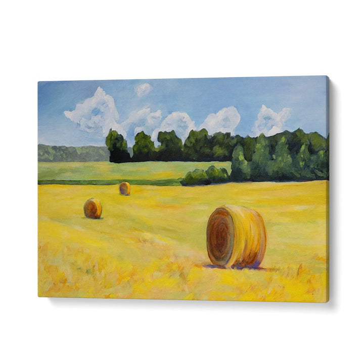 GOLDEN HAY FIELD