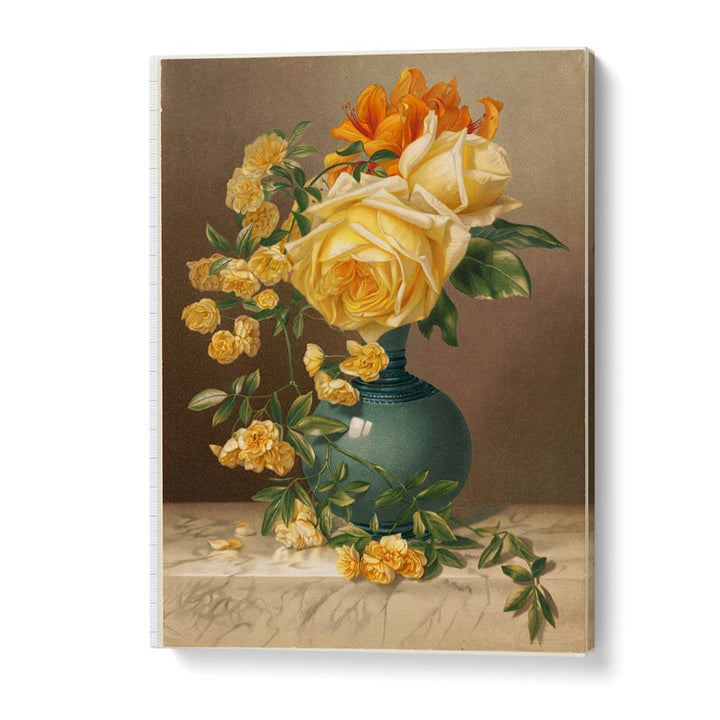 MARCHAL NIEL ROSES