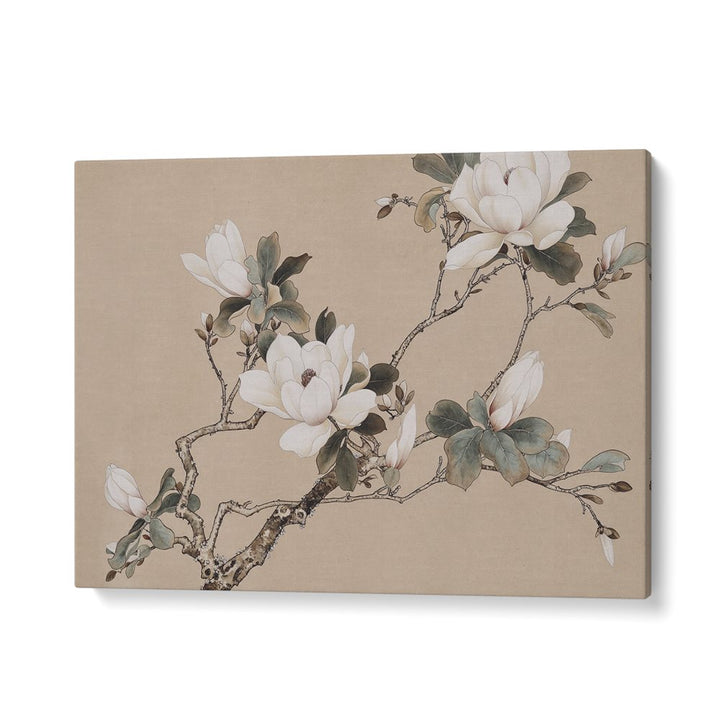 CHINOISERIE MAGNOLIA V