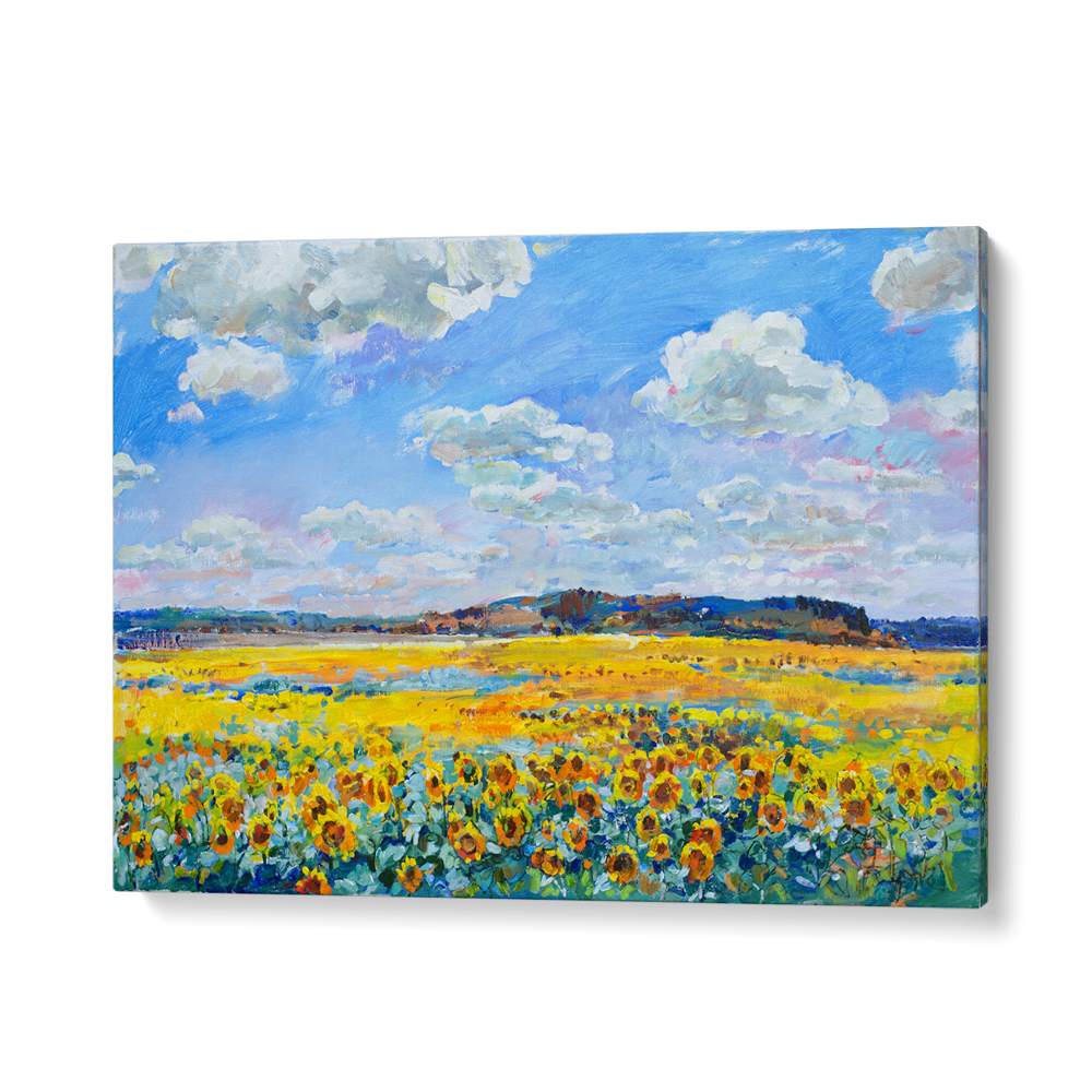 SUNLIT SUNFLOWER FIELD