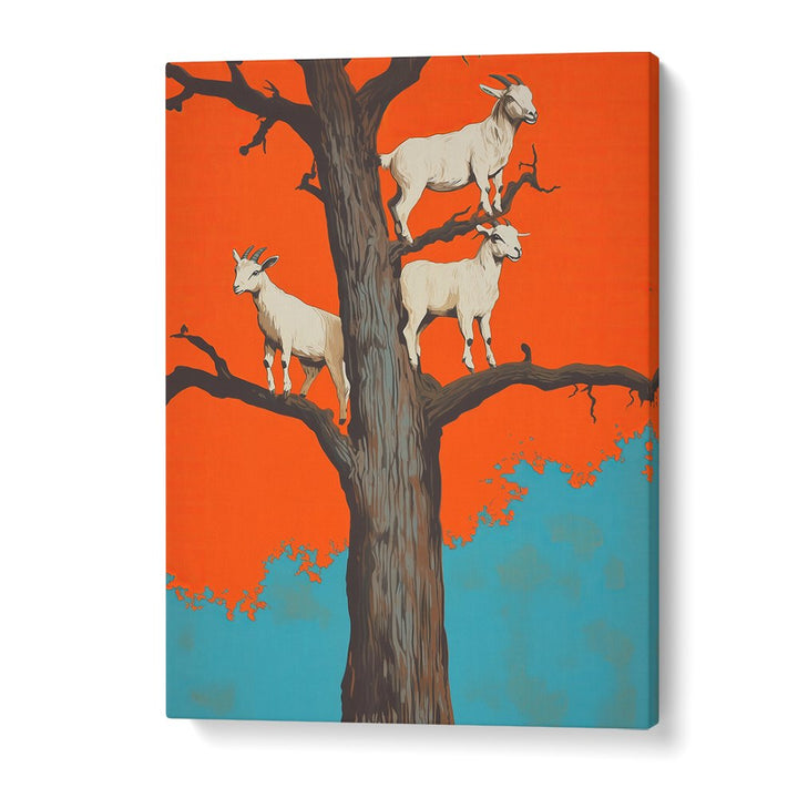 GOATS ON A ORANGE TREE