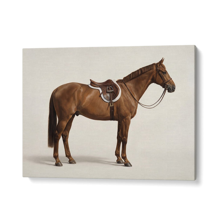 ELEGANT SADDLED HORSE