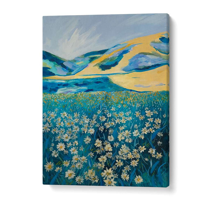 GOLDEN HILLS DAISY FIELD
