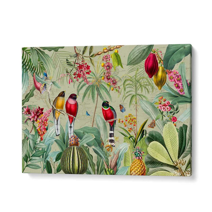 TROPICAL JUNGLE BIRDS