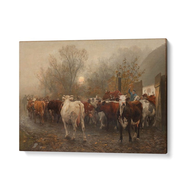 COWS DRIVEN OUT OF THE BARN