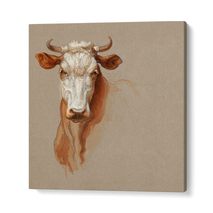 TWO STUDIES OF CATTLE (1876)