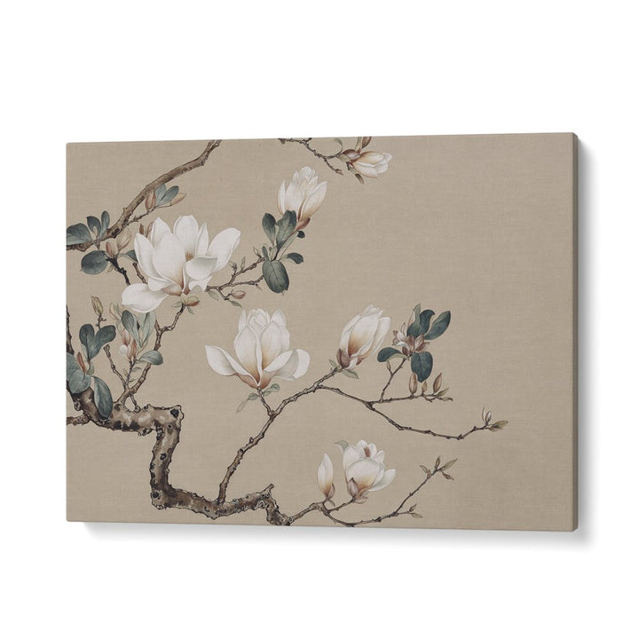 ELEGANT MAGNOLIA BLOOMS