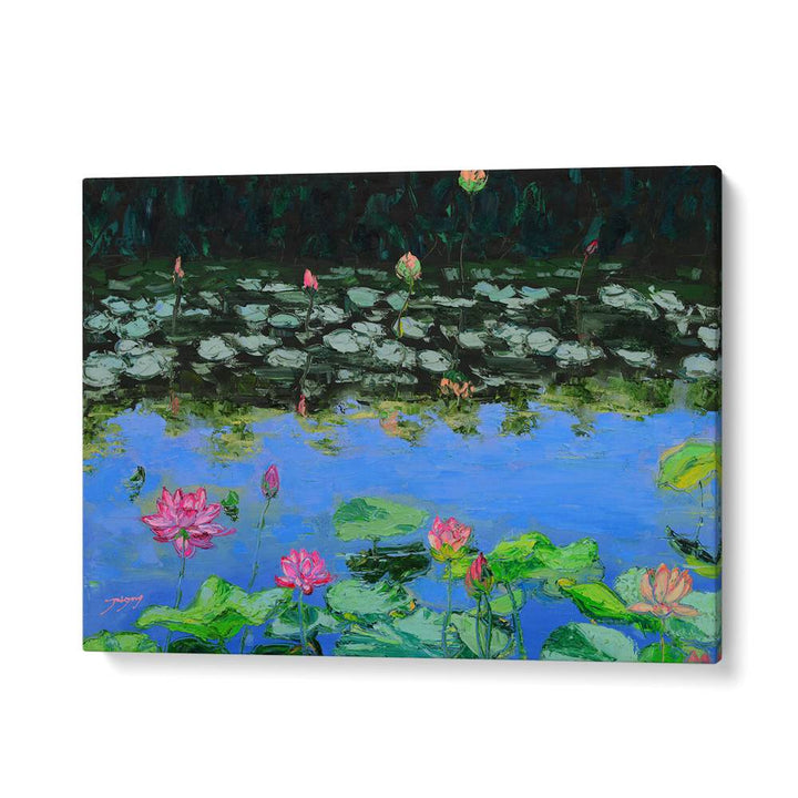 PINK LOTUS REFLECTIONS