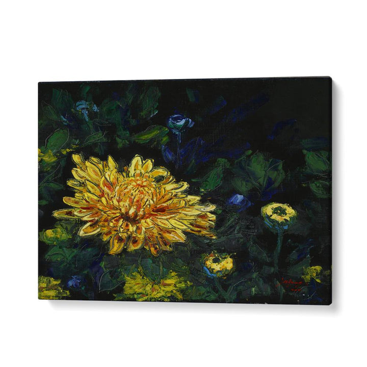 GOLDEN CHRYSANTHEMUM BLOOM