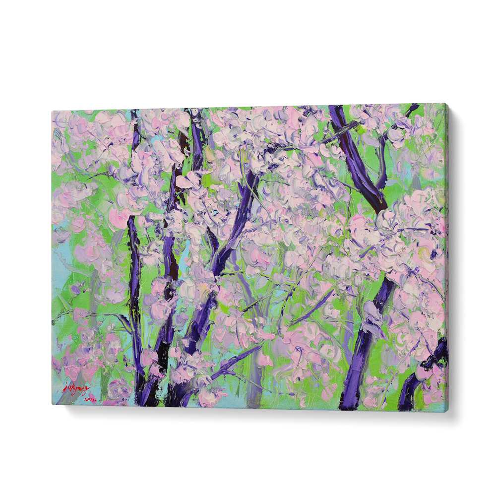 BLOOMING CHERRY TREES