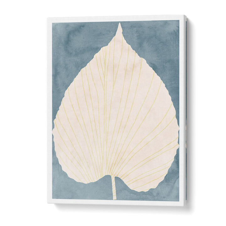 SOFT BLUE FAN LEAF