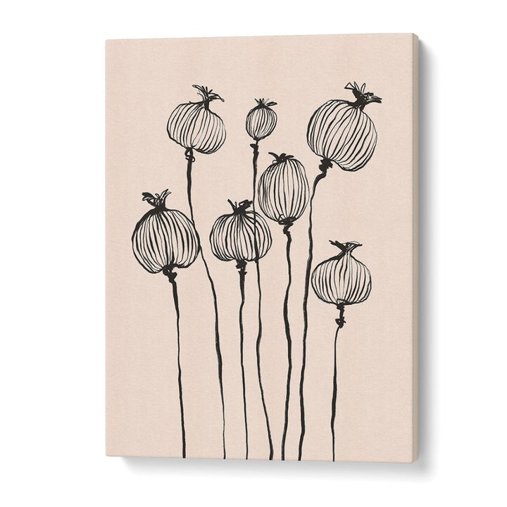 GRACEFUL POPPY PODS