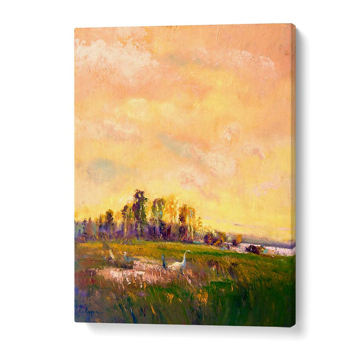 SUNLIT MEADOWSCAPE