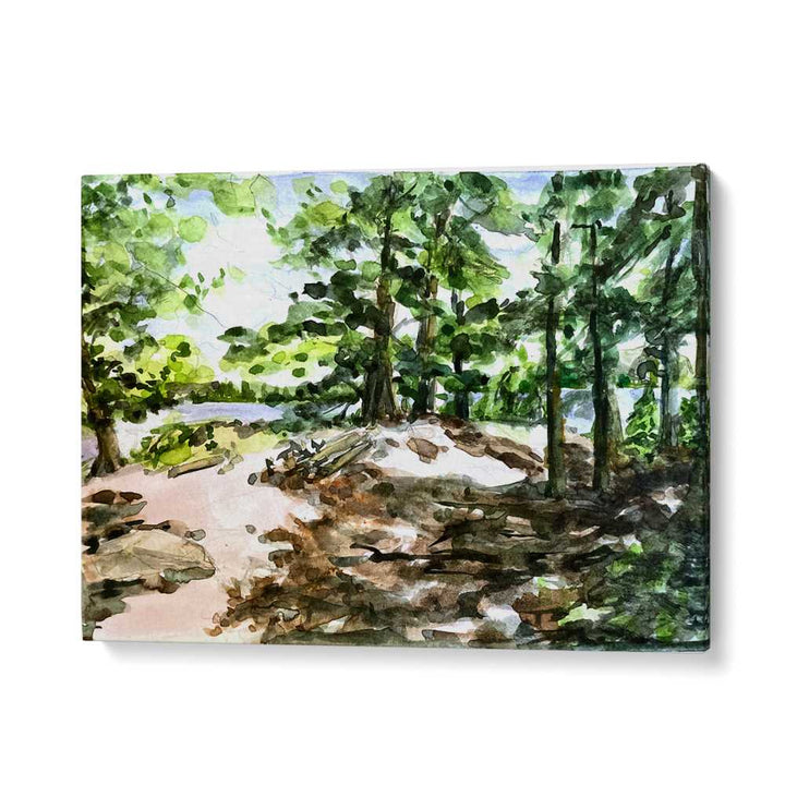 SUNLIT WOODLAND PATH