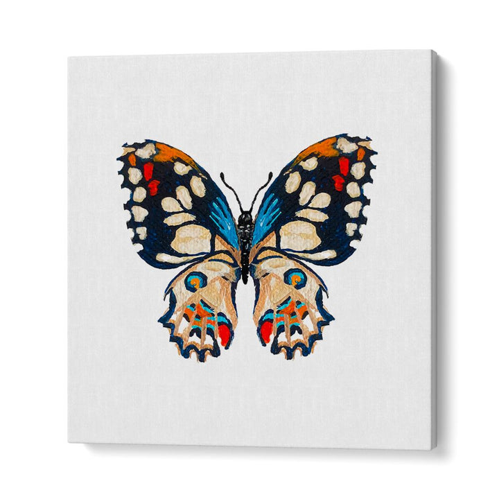 VIVID BUTTERFLY ILLUSTRATION