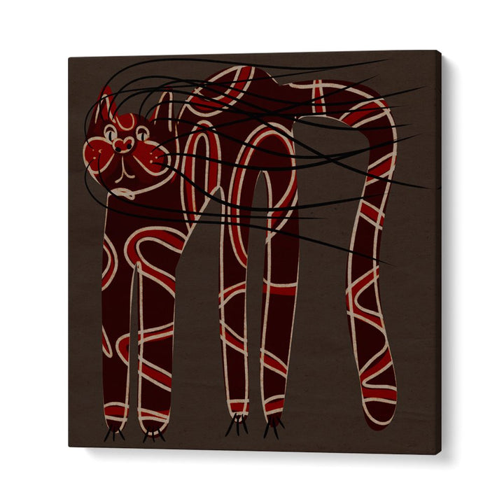 MYSTERIOUS PATTERNED CAT