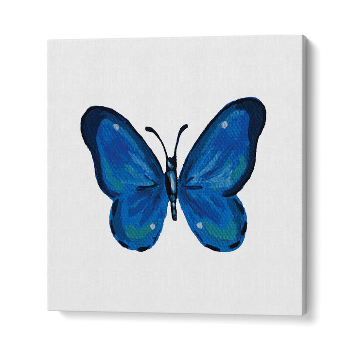 ULTRA MARINE BLUE PAP