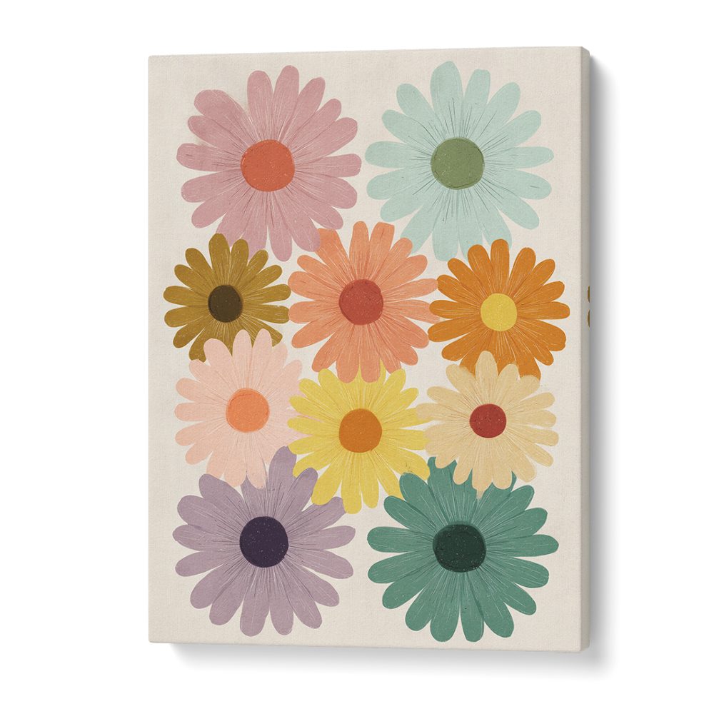 COLORFUL DAISY BLOOMS