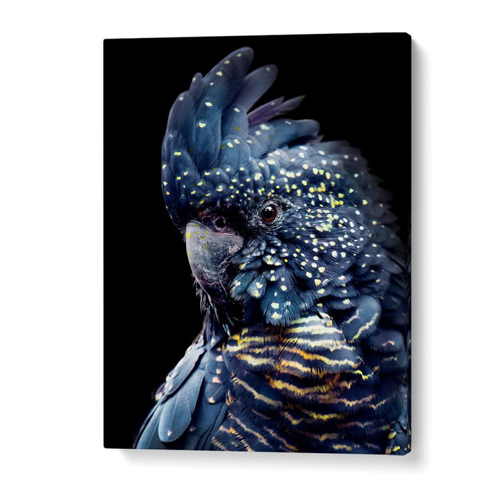 YELLOW SPOTTED COCKATOO