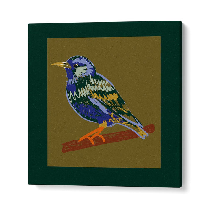 VIBRANT STARLING PERCH