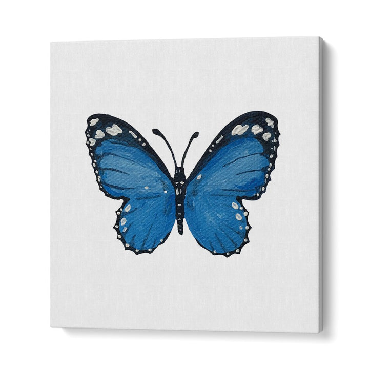 PAINTED BLUE BUTTERFLY