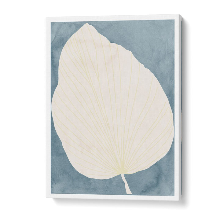 CALM BOTANICAL LEAF