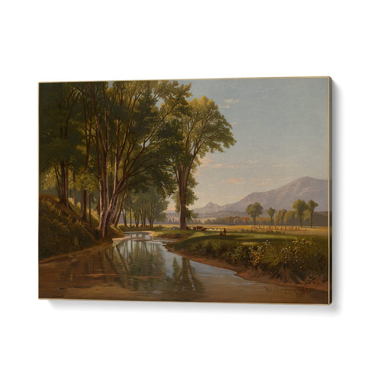 CONWAY MEADOWS , VINTAGE LANDSCAPE