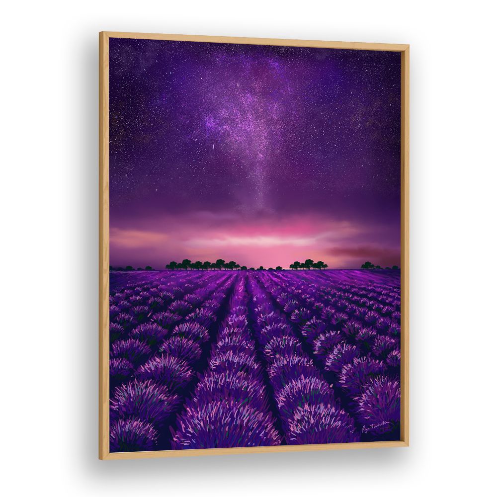 STARRY LAVENDER FIELDS