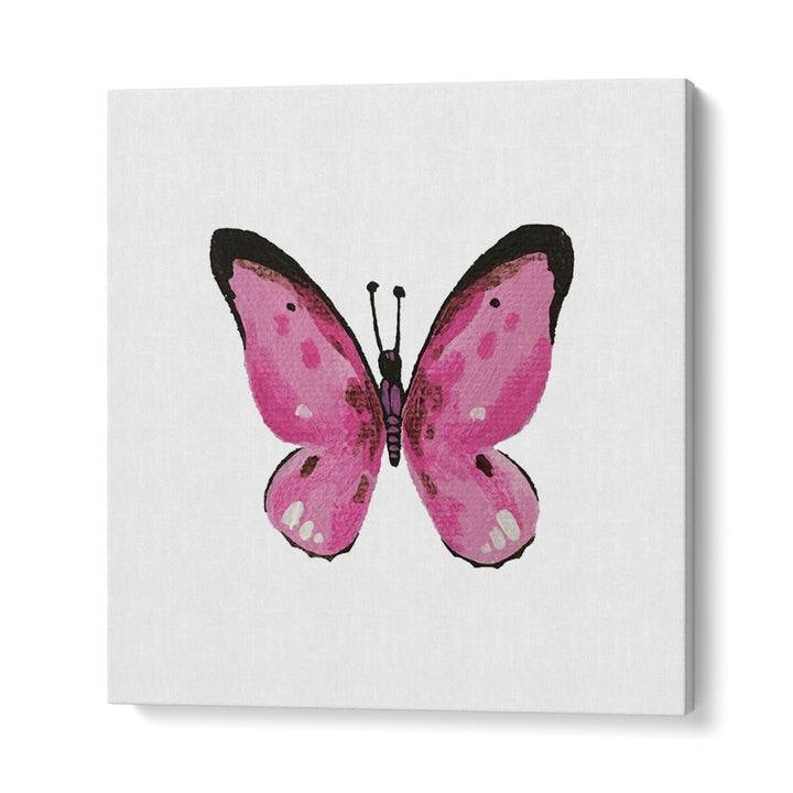 DELICATE PINK BUTTERFLY