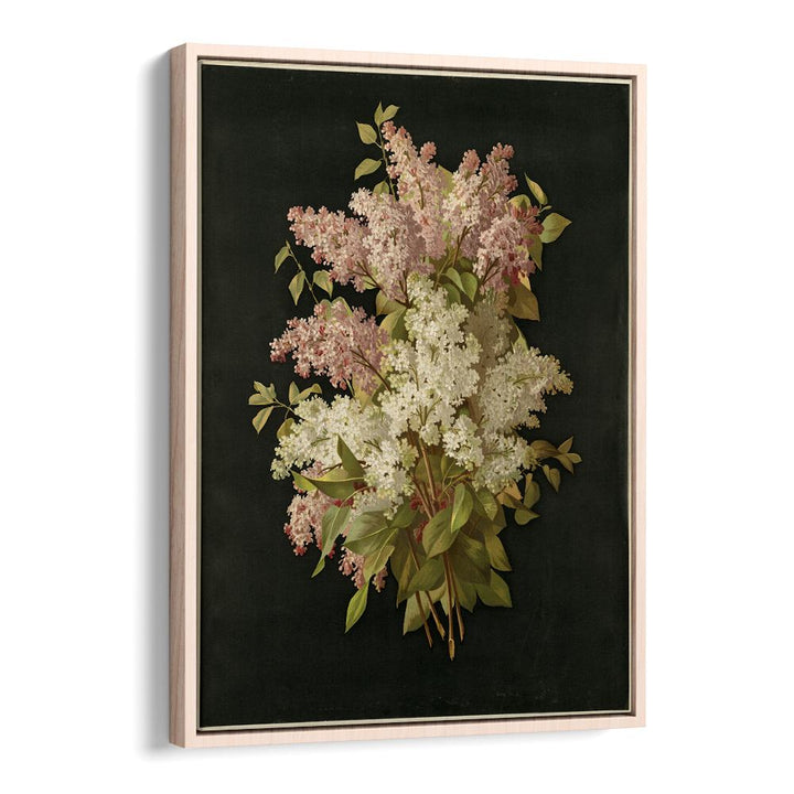BOUQUET OF LILACS