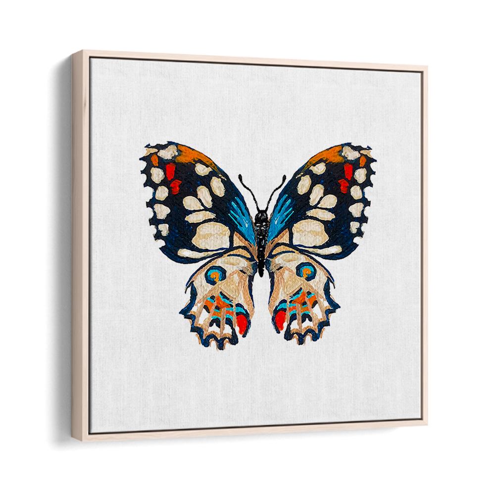 VIVID BUTTERFLY ILLUSTRATION
