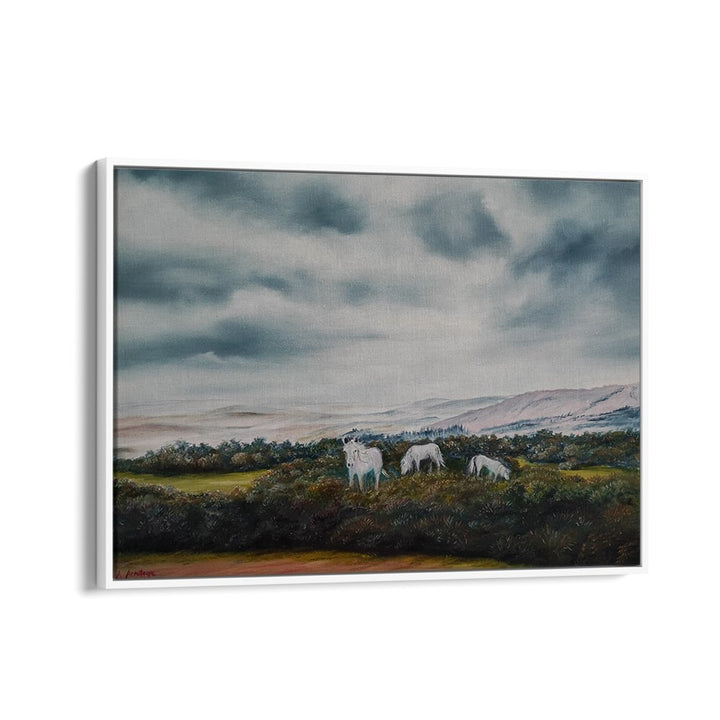 SERENE MOORLAND PONIES