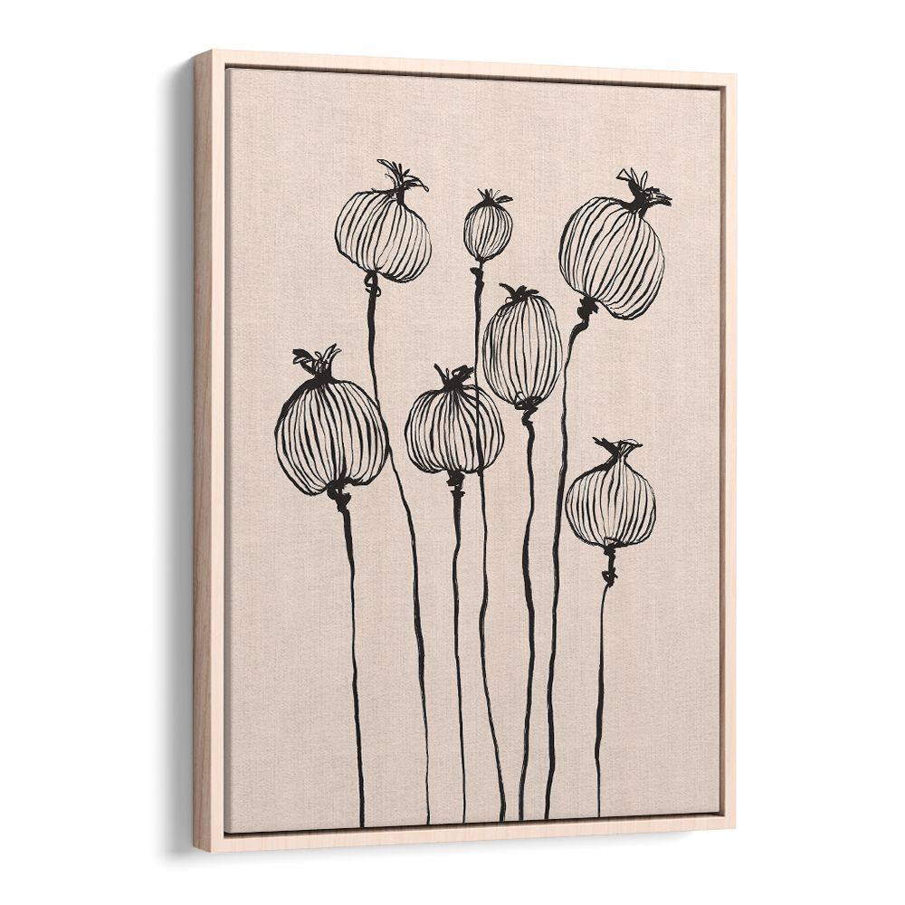 GRACEFUL POPPY PODS