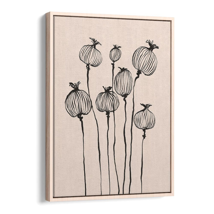 GRACEFUL POPPY PODS