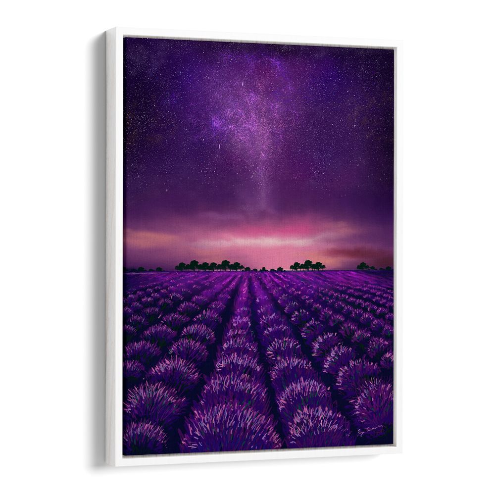 STARRY LAVENDER FIELDS