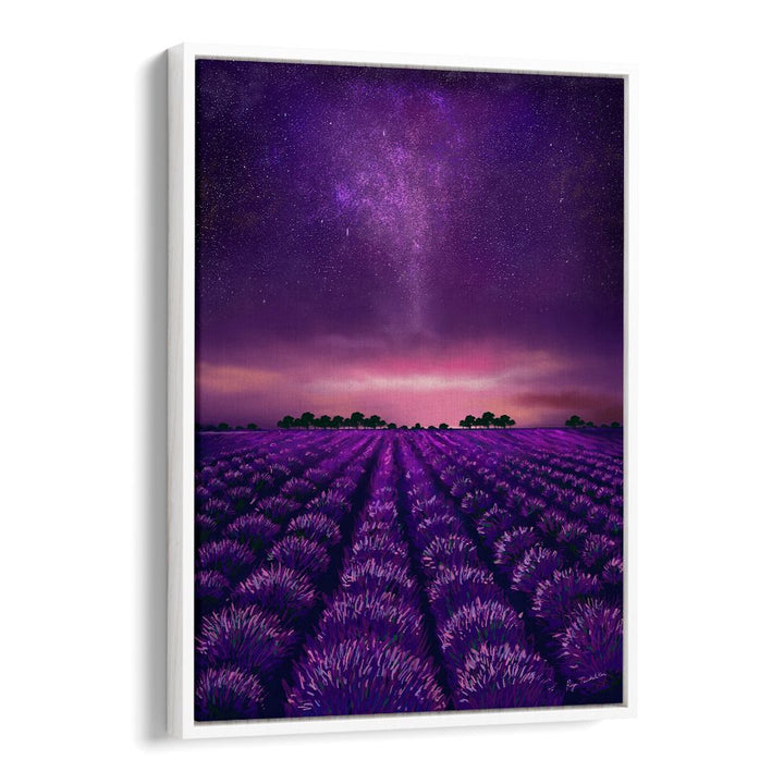 STARRY LAVENDER FIELDS