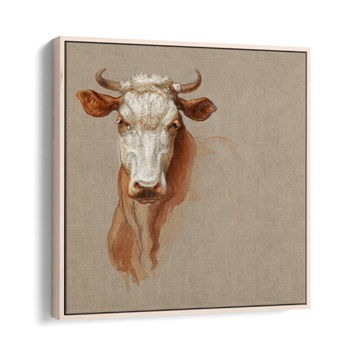 TWO STUDIES OF CATTLE (1876)