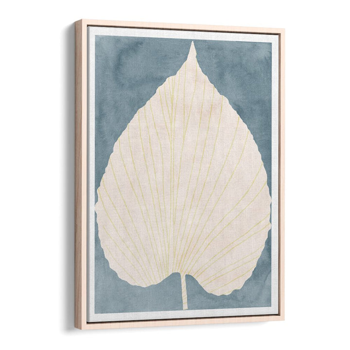SOFT BLUE FAN LEAF