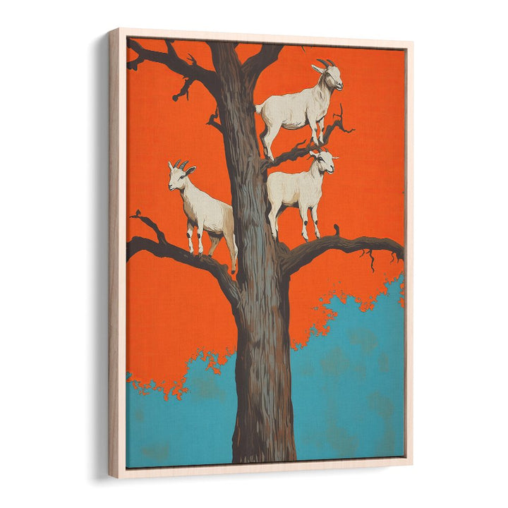 GOATS ON A ORANGE TREE