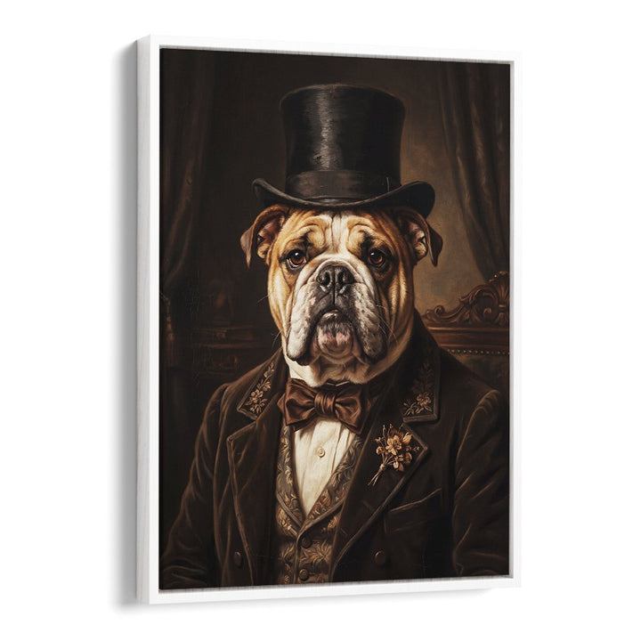 THE DISTINGUISHED BULLDOG